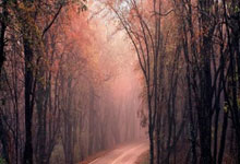 TK体育官网：[图]库里28+7+5唐斯29+12+3 勇士97-94险胜尼克斯.