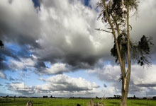 [网球]郑钦文：我的备战很顺利.