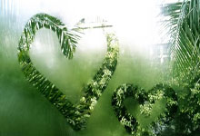 阳山杯中国围棋棋王争霸赛八强无锡开幕.