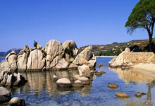 TK体育官网：[德甲]第33轮：不来梅1-1科隆 集锦.